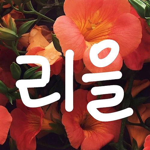 프로필 이미지