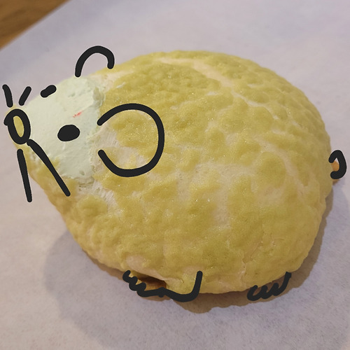 카지노 가입 쿠폰필 이미지