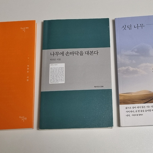 바카라사이트 추천필 이미지