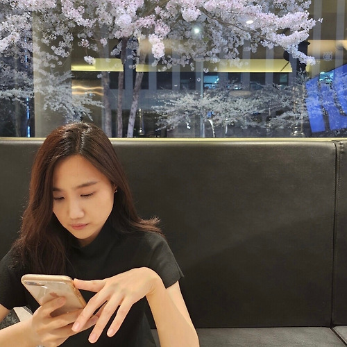 메이저 바카라 사이트필 이미지