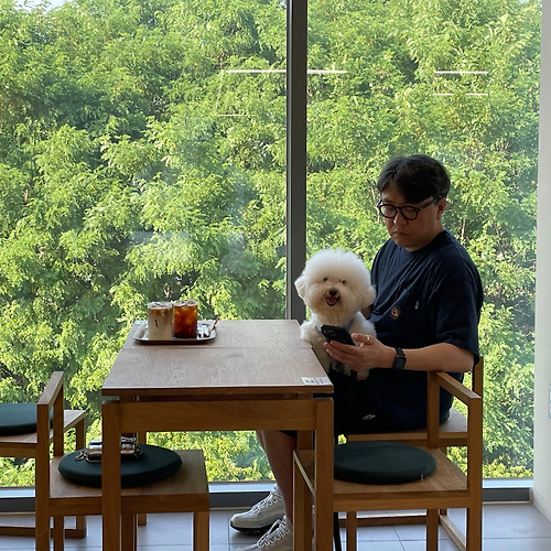 카지노 가입 쿠폰필 이미지