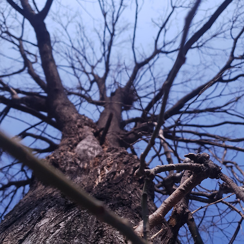 카지노 게임필 이미지