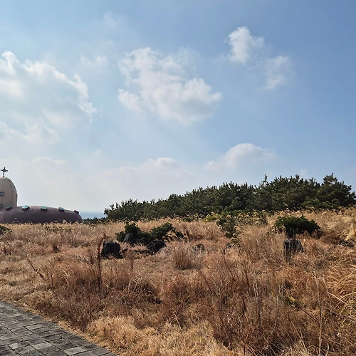 프로필