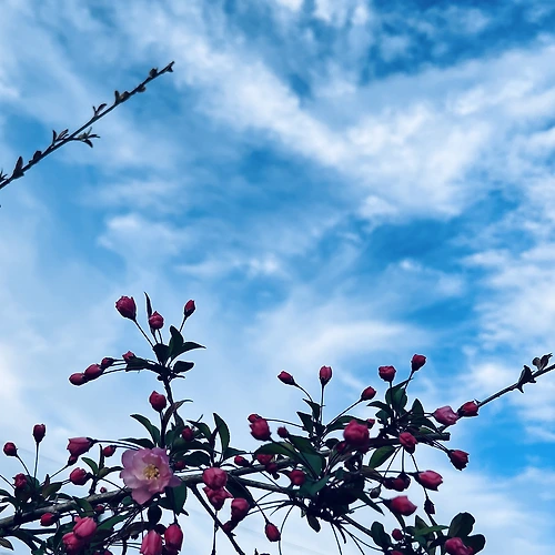 프로필