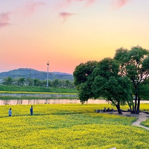 프로필 이미지