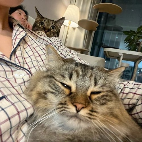 프로필 이미지