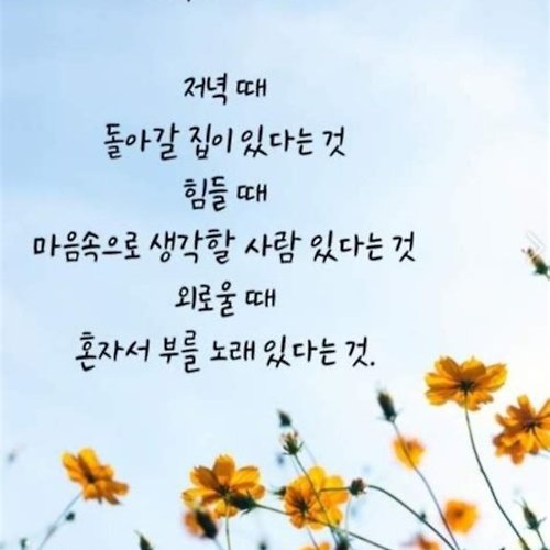 프로필 이미지