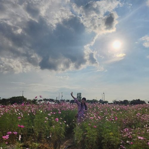 프로필 이미지