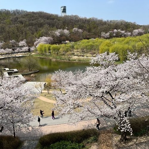 프로필 이미지