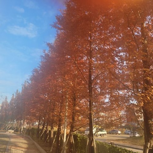 슬롯사이트필 이미지