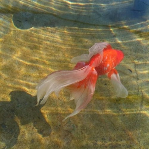 카지노 게임 사이트필 이미지