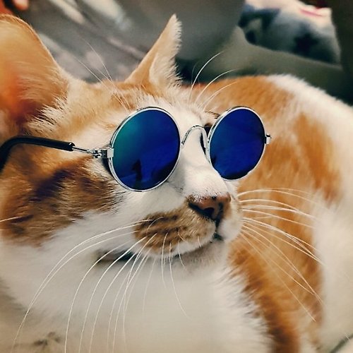 프로필 이미지