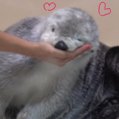 프로필 이미지