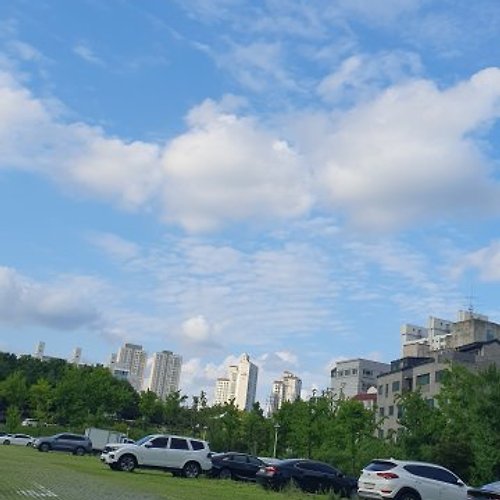 토토 바카라 사이트필 이미지