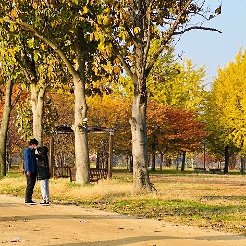 벳33필 이미지