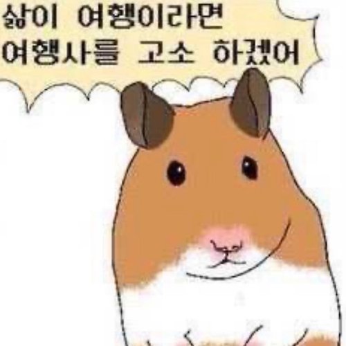 프로필 이미지