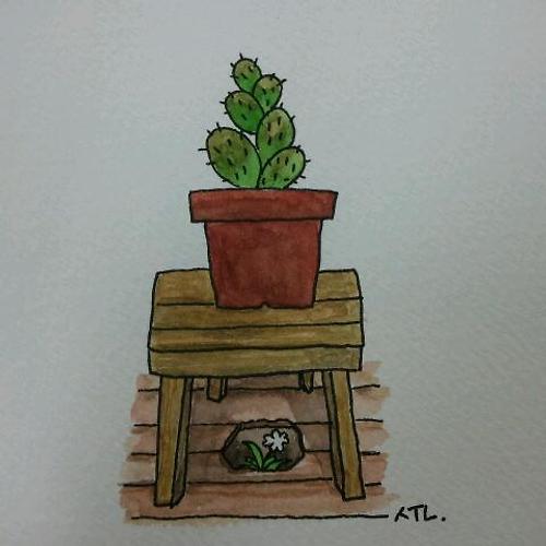 카지노 룰렛 사이트필 이미지