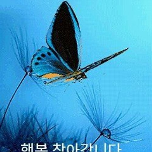 프로필 이미지