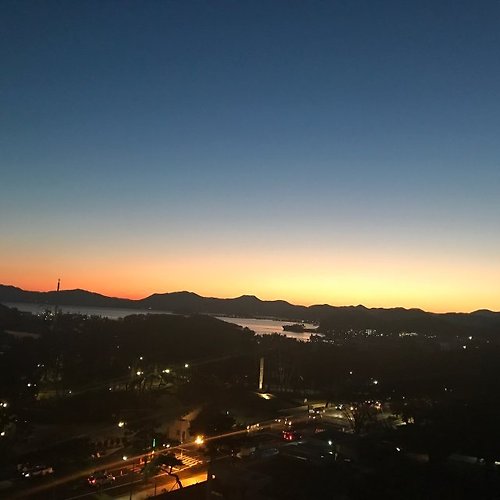 볼트카지노필 이미지