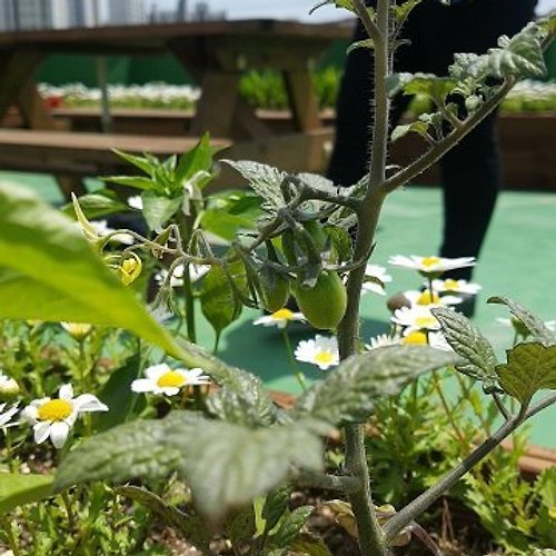 프로필 이미지