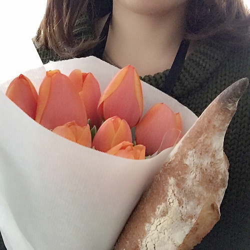 도브카지노필 이미지