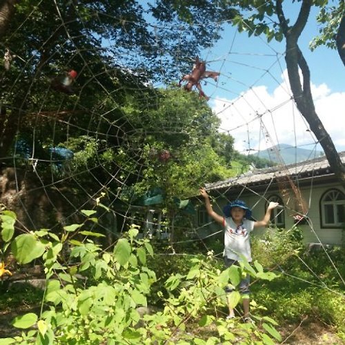 샬롬토토필 이미지