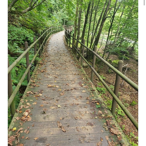 사이다카지노필 이미지
