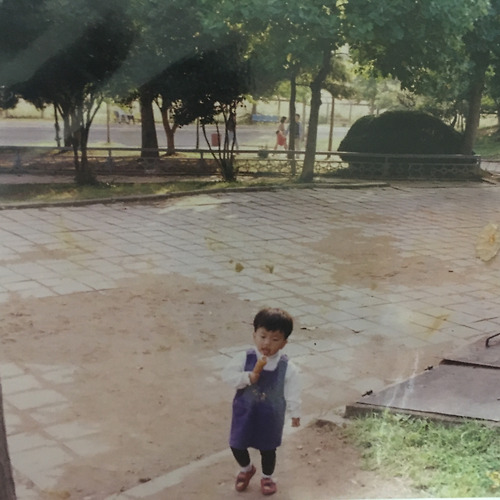 토토사이트추천필 이미지