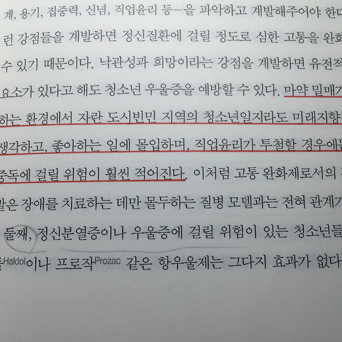 더존카지노필 이미지