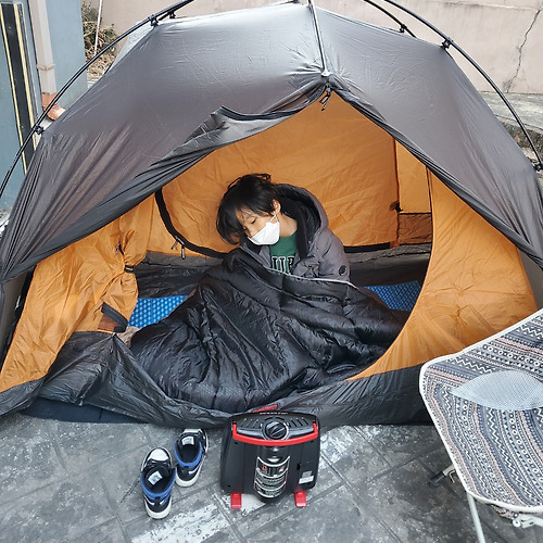다인카지노필 이미지