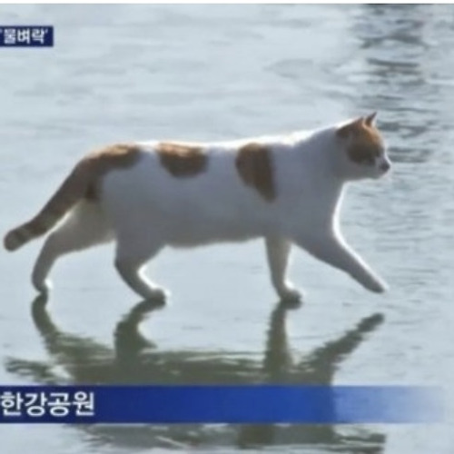 카지노 게임 사이트필 이미지