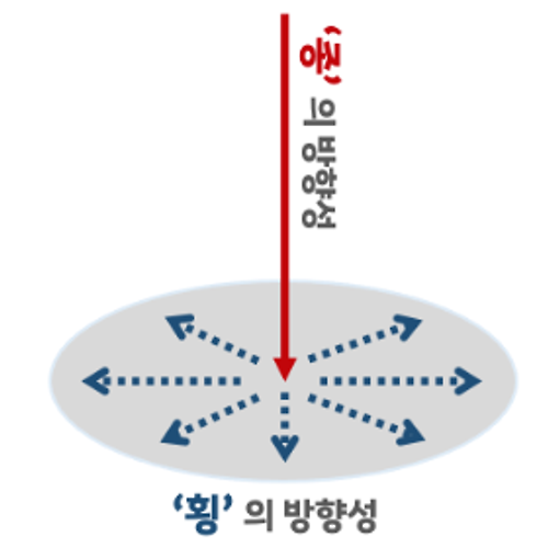 개똥철학 1: 종과 횡의 법칙(2)