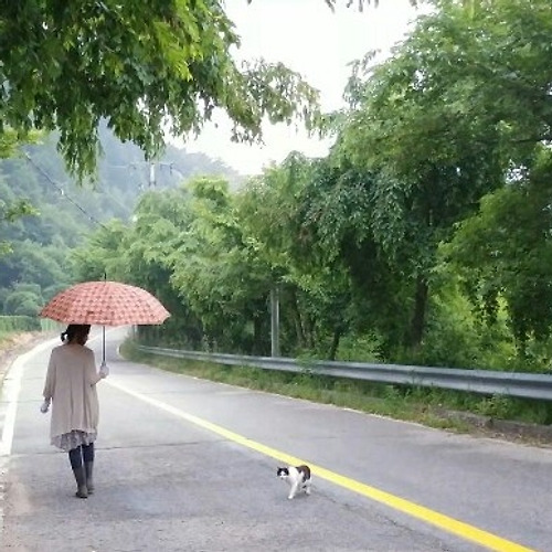 슬롯 꽁 머니필 이미지