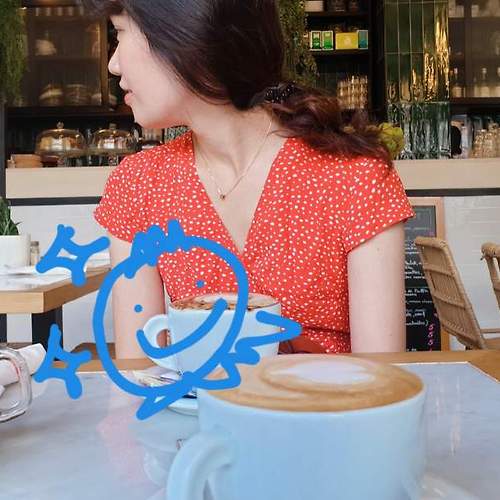 파라존 코리아카지노필 이미지