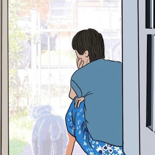 에볼루션 바카라필 이미지