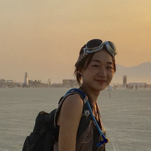 인터넷 바카라필 이미지