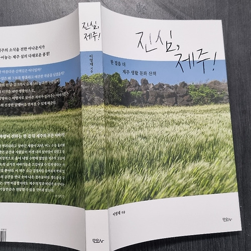 솔카지노필 이미지
