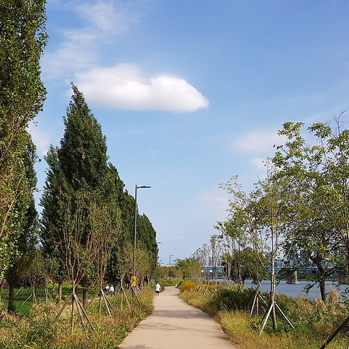 슬롯필 이미지