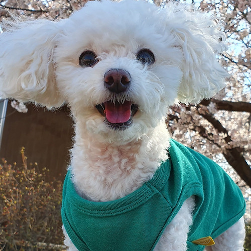 바카라 꽁 머니필 이미지