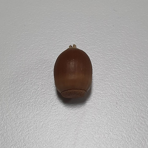 블랙잭 용어필 이미지