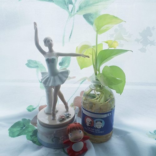 고니카지노필 이미지