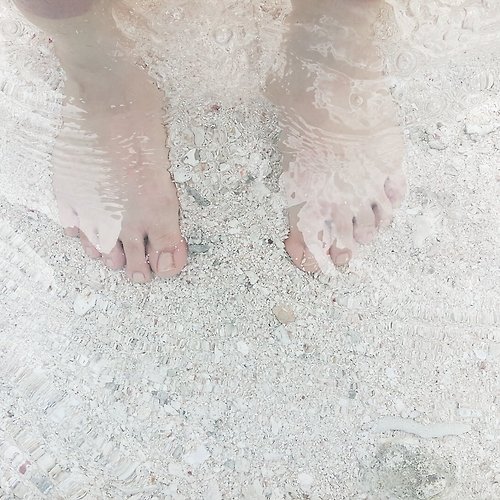 메이저사이트필 이미지