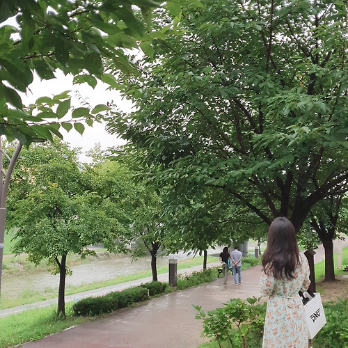 바카라 토토필 이미지