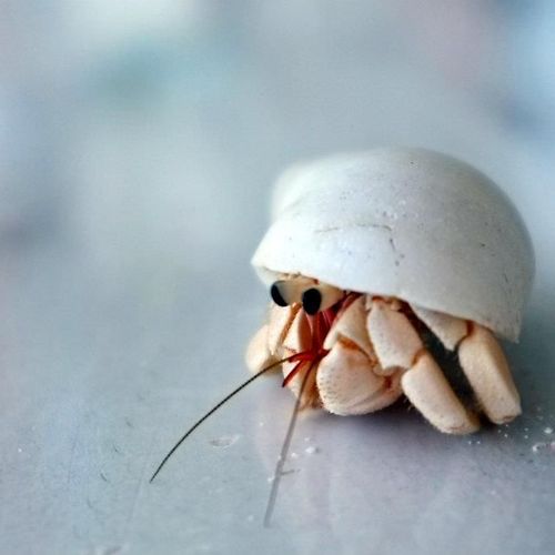 라이브카지노필 이미지