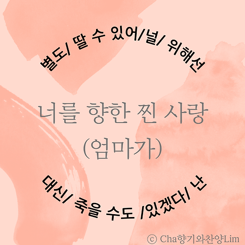 바카라 공식필 이미지