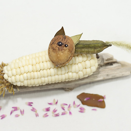 라이징슬롯필 이미지