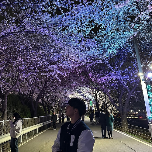 온라인 카지노 게임필 이미지