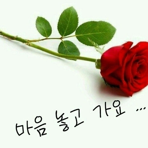 프로필