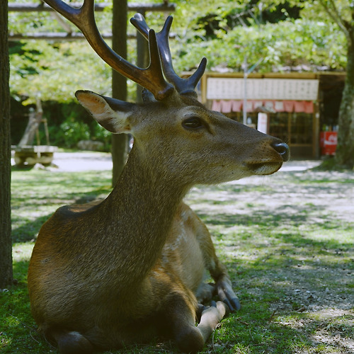 프로필 이미지