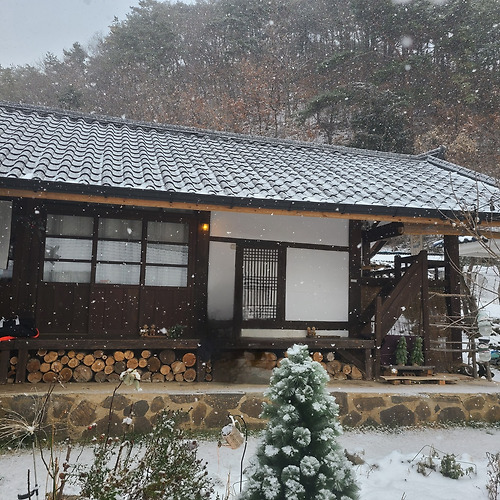 무료 카지노 게임필 이미지